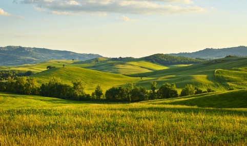 Improved management by increasing synergies between farming activities and ecosystem services provided by agroecosystems to foster biodiversity-based agricultural practices
