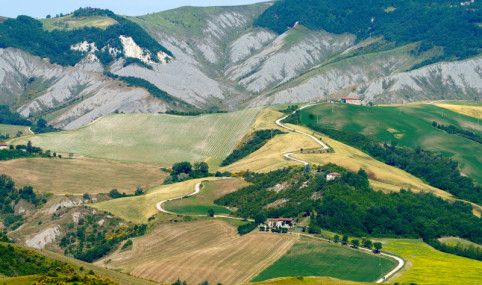 Improved management by increasing synergies between farming activities and ecosystem services provided by agroecosystems to foster biodiversity-based agricultural practices