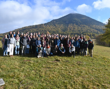 Strengthening Collaboration: SELINA’s 6th Workshop advances evidence-based decision-making in the public sector