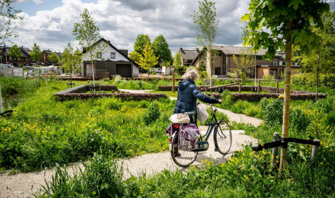 Measuring and valuing biodiversity and ecosystem services within construction projects