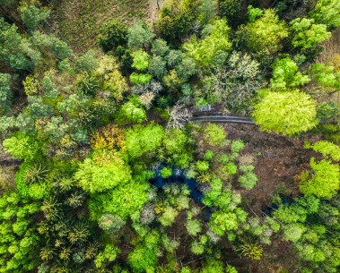 New SELINA publication introduces the Framework for Integrated Ecosystem Assessment