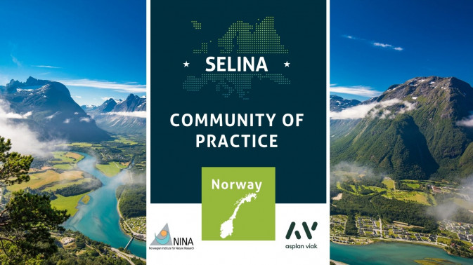 Advancing collaboration on national ecosystem service assessment: Community of Practice in Norway