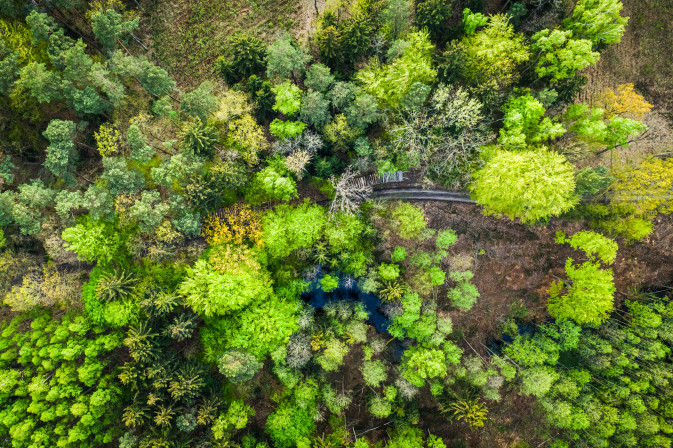 New SELINA publication introduces the Framework for Integrated Ecosystem Assessment